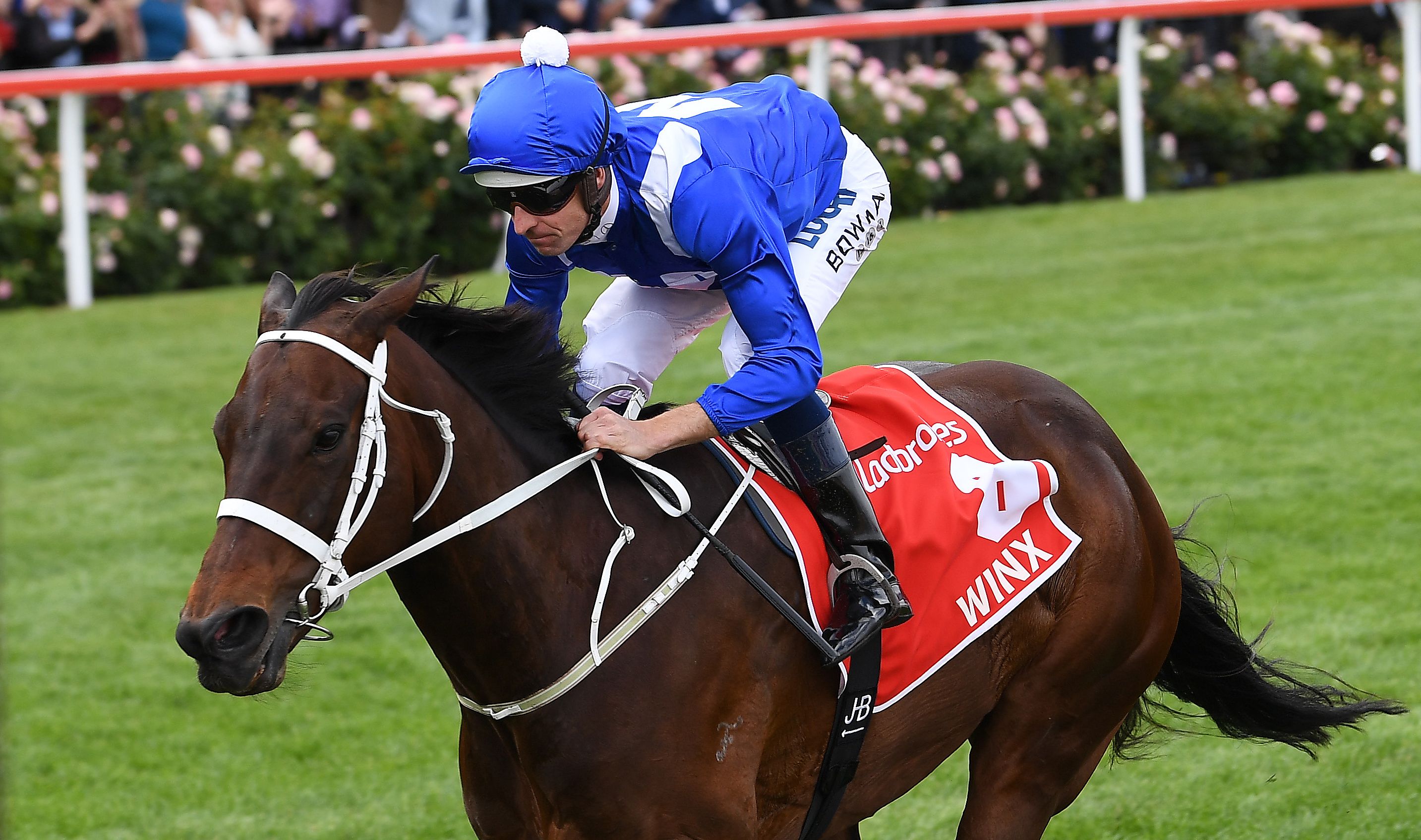 Hugh Bowman rides Winx to victory.