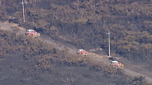 Fire crews at the scene. (9NEWS)