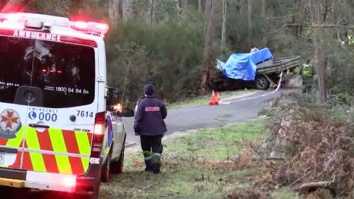 Two men died and a third is in a serious condition. (9NEWS)