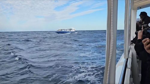 Another tourism operator, Whale Watch Queensland, watched the incident unfold and came to the tourist's aid.