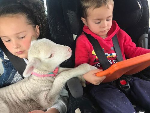 Piper, Heidi and Elliott Besant with Lambie.