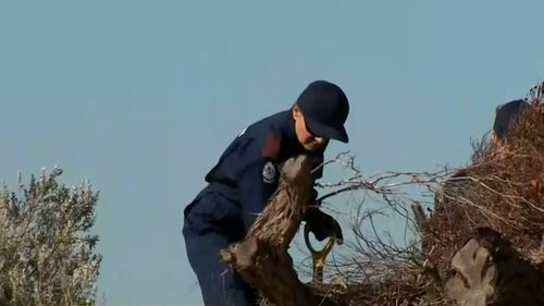 Police begin a forensic dig at Cottesloe Beach.