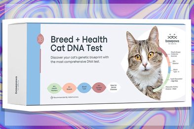 9PR: Basepaws Cat DNA Test