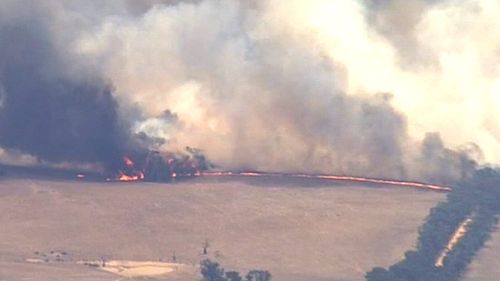 Water bombing helicopters and ground crews have been employed to battle the Moyston blaze. (9NEWS)
