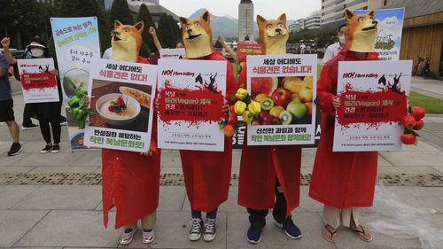 韩国考虑禁止吃狗肉