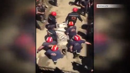 A screenshot of emergency workers carrying the body of the white tiger.