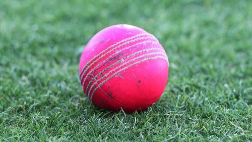 Cricket Australia believes the pink ball will survive the rigours of Test cricket. (AAP)