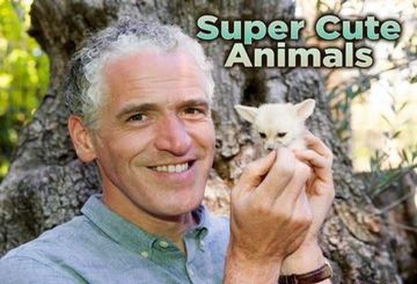 Super Cute Animals