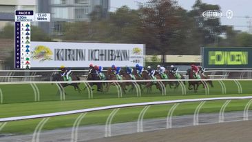 TAB Champions Stakes Day: Race 8 - TAB Champions Stake
