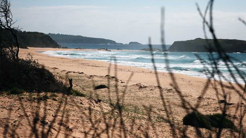 Plage de Bournda au sud de Tathra, où le pied en décomposition de Melissa Caddick a été retrouvé.