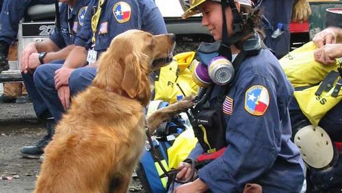 The last surviving 9/11 dog is honoured