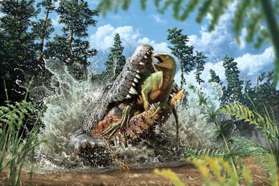 Confractosuchus Sauroktonos