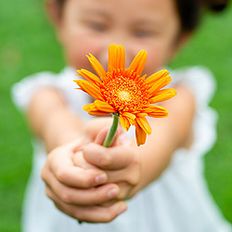 Japanese child presenting flower as gift (Getty)