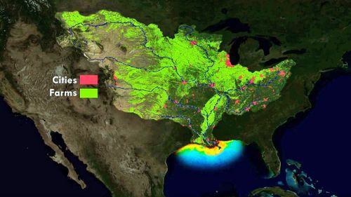 190612 Gulf of Mexico dead zone environmental research rain weather flooding News World