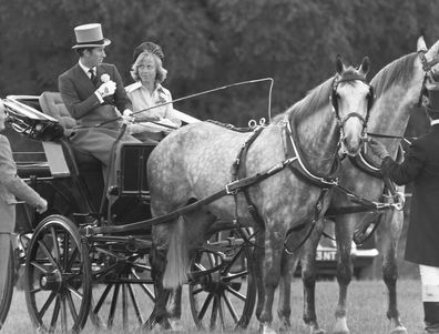 Prince Charles with Davina Sheffield in a carriage at Windsor during their time together.