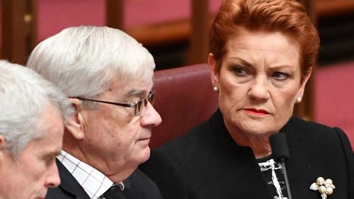 Brian Burston and Pauline Hanson in the Senate chamber. Picture: AAP