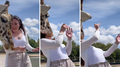 Woman gets slapped by a giraffe.