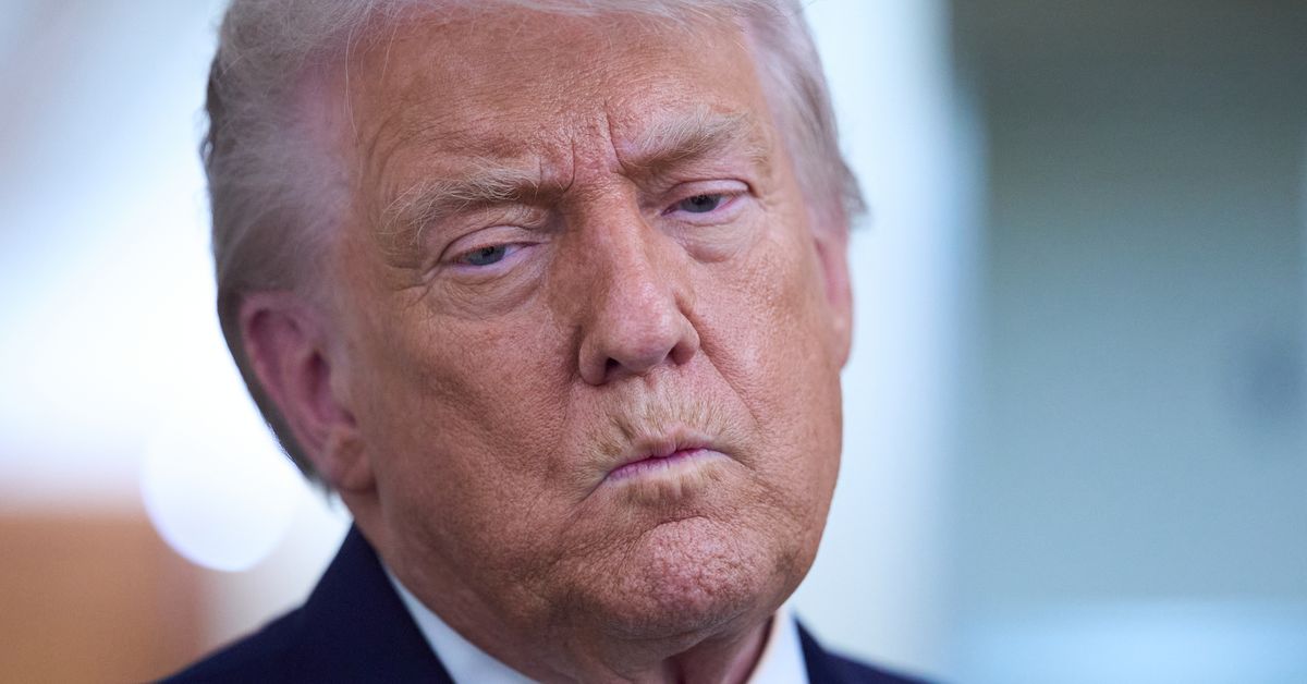 Trump angers allies with claim NATO troops 'stayed a little back' from Afghanistan frontline