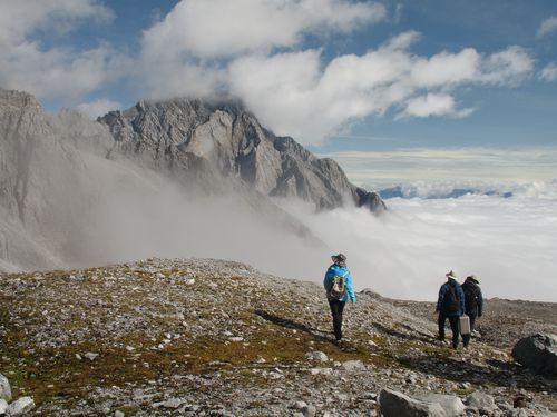 The glacier is estimated to have lost 60 percent of its mass since 1982.