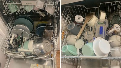 Naomi's dishwasher