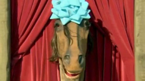 Worst dating show ever: Talking horse sets up singles