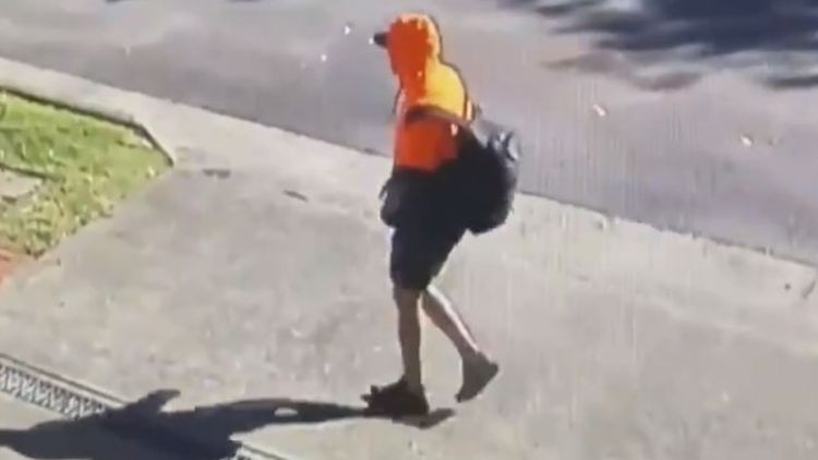 Off Contract Nrl Player Jamil Hopoate Denied Bail After Arrest Over 155m Cocaine Bust