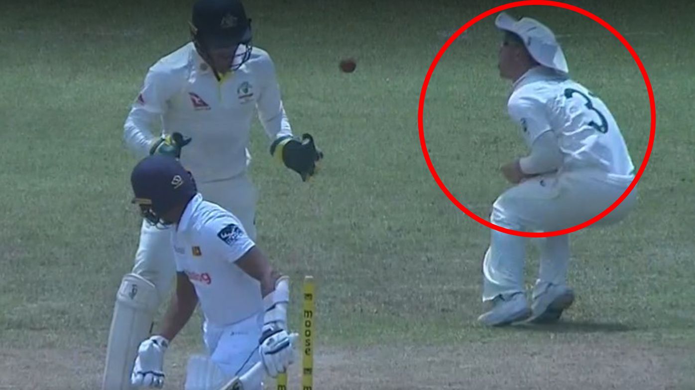 Teammates left in stitches after David Warner is floored by flying bail after wicket