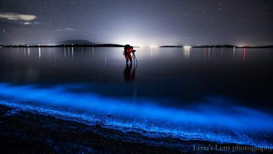 <p>Mother Nature has put on two spectacular night-time performances for Tasmanians this week with "Sea Sparkles" in the ocean and Southern Lights in the sky. </p>
<p>
The waters around Hobart were illuminated on several nights this week with glowing blue single-cell organisms lighting up the shoreline. </p>
<p>
The dazzling display was seen along the River Derwent where the blue phytoplankton lived up to its Sea Sparkles nickname. </p>
<p>
Local photographers Helena Wisby of <a href="https://www.facebook.com/pages/Lenas-Lens-Photography/130094623737287?sk=photos_stream">Lena's Lens Photography</a> and Matthew Holz from <a href="https://www.facebook.com/MatthewHolzphotography">Matthew Holz Photography</a> snapped the small creatures as they sparkled in the shallows. </p><p>The scientific name for the organisms is <em>noctiluca scintillans</em>, which translates literally to "twinkling night sky". </p>