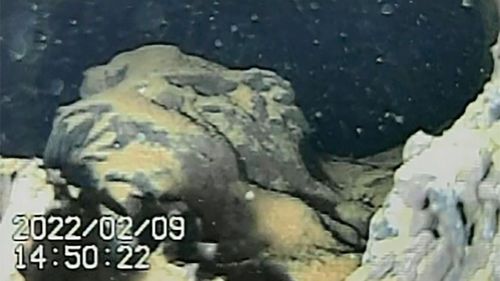 A melted lump of nuclear fuel was photographed at the bottom of Japan's Fukushima nuclear plant.