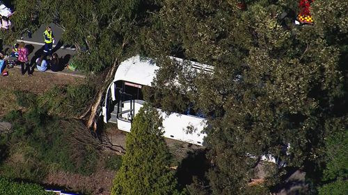Bus carrying 40 students crashes into tree in Sydney's west