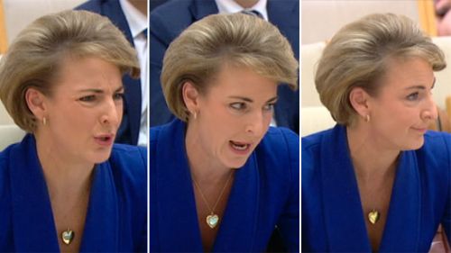 Michaelia Cash denies claims she knew staffer's AWU media leak. 