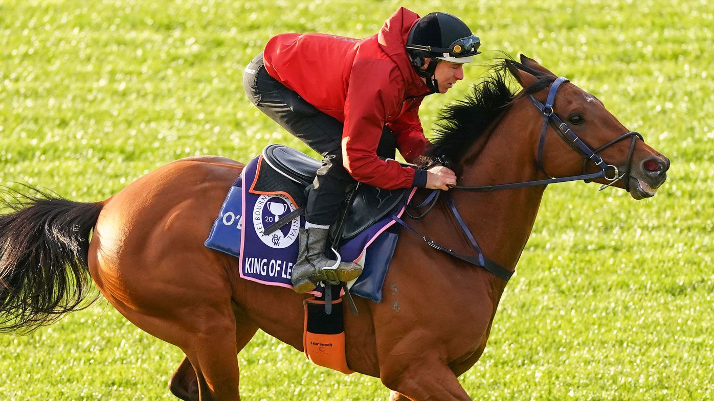 Melbourne Cup scratching: King of Leogrance out of race, Danny O'Brien galloper gone
