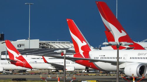 The vertical stabilisers of Qantas planes at Sydney Kingsford-Smith Airport, from the left: a Boeing B737-838 plane, registration VH-XZD; a Boeing B787-9 plane, registration VH-ZNE; and an Airbus A380-842 plane, registration VH-OQB. In the background on the left is a fourth Qantas plane, a Boeing B737-838, registration VH-XZH. In the far background is the international terminal.  In the foreground are navigational light structures at the northern end of the runway.  This image was taken from Nig