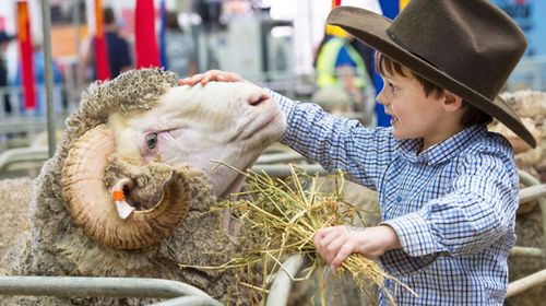 Sydney's Easter Show opens its gates