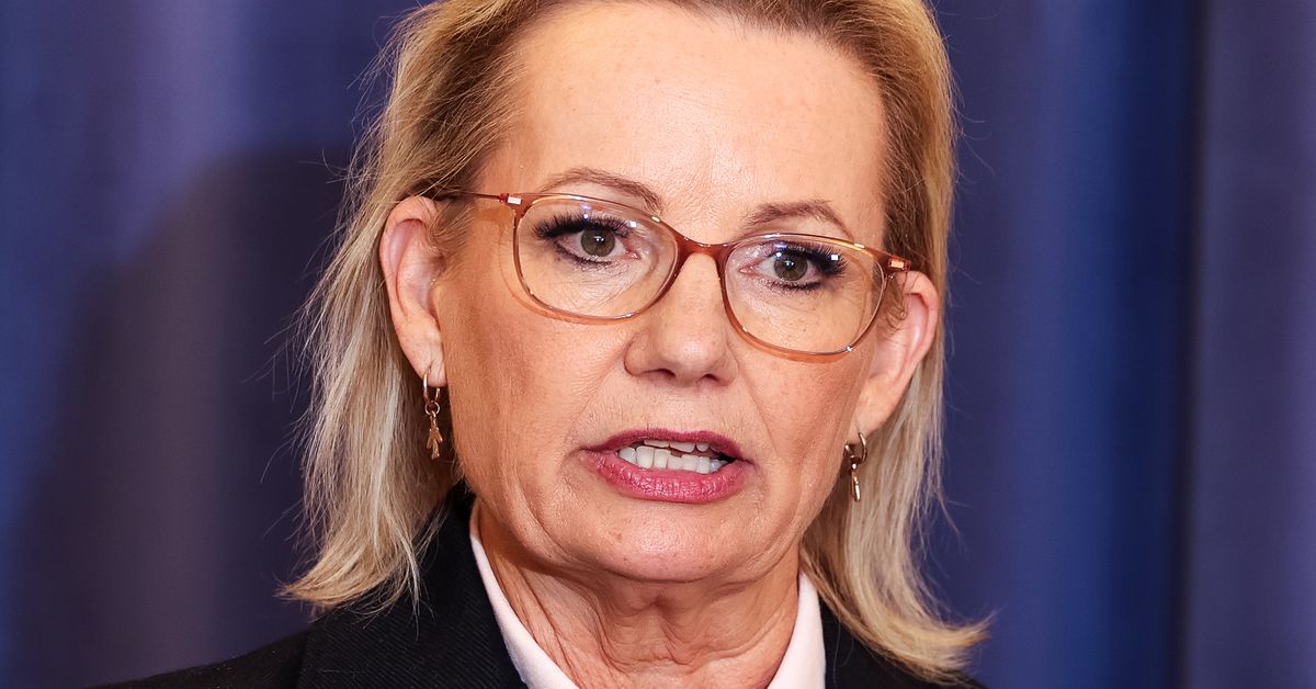 Tiny detail in Sussan Ley's first appearance as Liberal leader points to her 'past life'