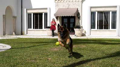 German Shepherd Gunther VI inherited this home from its grandfather, who inherited vast sums of money from the German countess who used to own it.