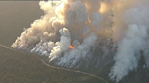 An emergency warning was issued as homes come "under ember attack" from the Holsworthy bushfire. (9NEWS)