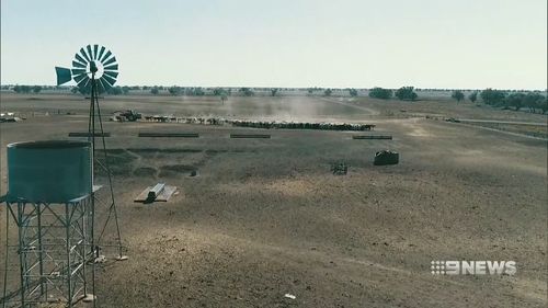 The incident comes as farmers around New South Wales are grappling with a devastating drought. Picture: 9NEWS.