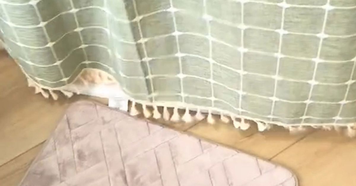 'Weird' hack puts an end to damp, mouldy bath mats using the most unlikely item