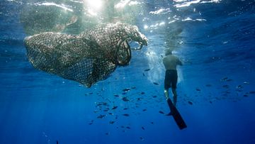 A man swims near a ghost net in the Great Pacific Garbage Patch.