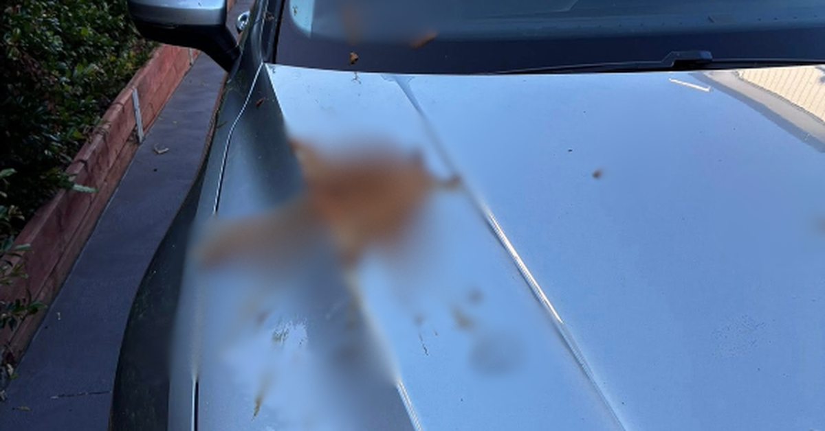 Mum-of-three left horrified by 'vile and degrading' act on Sydney street