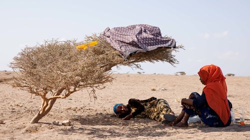 GODORYA, DJIBOUTI - JANUARY 19: Migrants rest under a shrub on January 19, 2024 in Godorya, Djibouti. The recent attacks on commercial ships by Yemen's Houthi rebel group, which have prompted a series of air strikes by the United States and its allies in response, have not just imperilled a vital shipping route, but also the popular "Eastern Route" for migrants heading from Ethiopia to Saudi Arabia, via Djibouti and the Bab al-Mandab Strait that connects the Gulf of Aden and Red Sea. The strait 