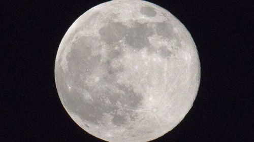 Full moons linked to animal abuse
