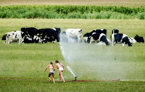 Two girls play with a sprinkler as a field is being sprayed with water in the area around Amerongen, The Netherlands.