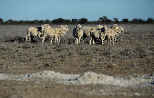 June and July have been much drier than expected in NSW. Picture: AAP