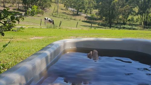 This person enjoyed a rural view while escaping the scorching heat.