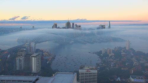 A blanket of fog has smothered Sydney Habour bringing a mistier start to Easter Sunday.