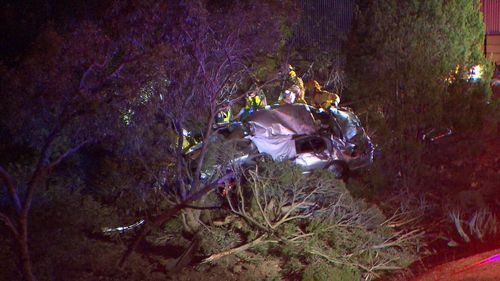 Adelaide Para Hills crash