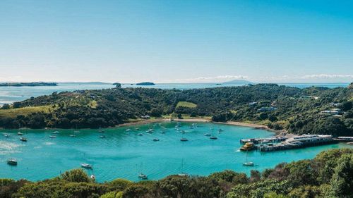 Wyspa Waiheke skrywa mroczny, poplamiony sosem sekret.