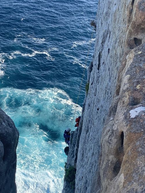 L'homme, 25 ans, a fini par atterrir sur un rebord de la falaise après la chute à Beecroft Peninsula NSW